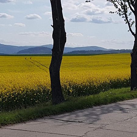 Apartamento Auf-Der-Muehlwiese Großschönau Exterior foto