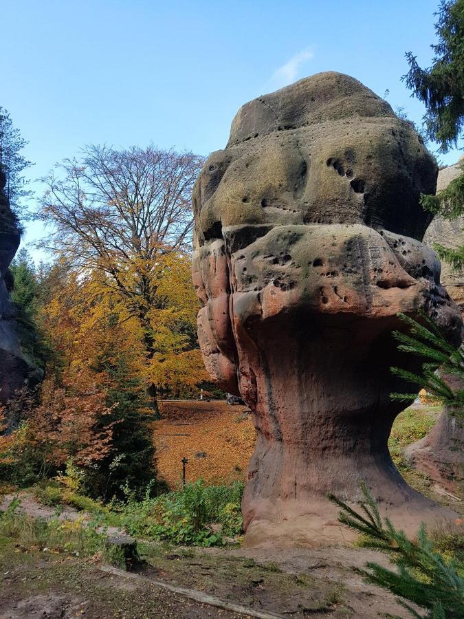 Apartamento Auf-Der-Muehlwiese Großschönau Exterior foto