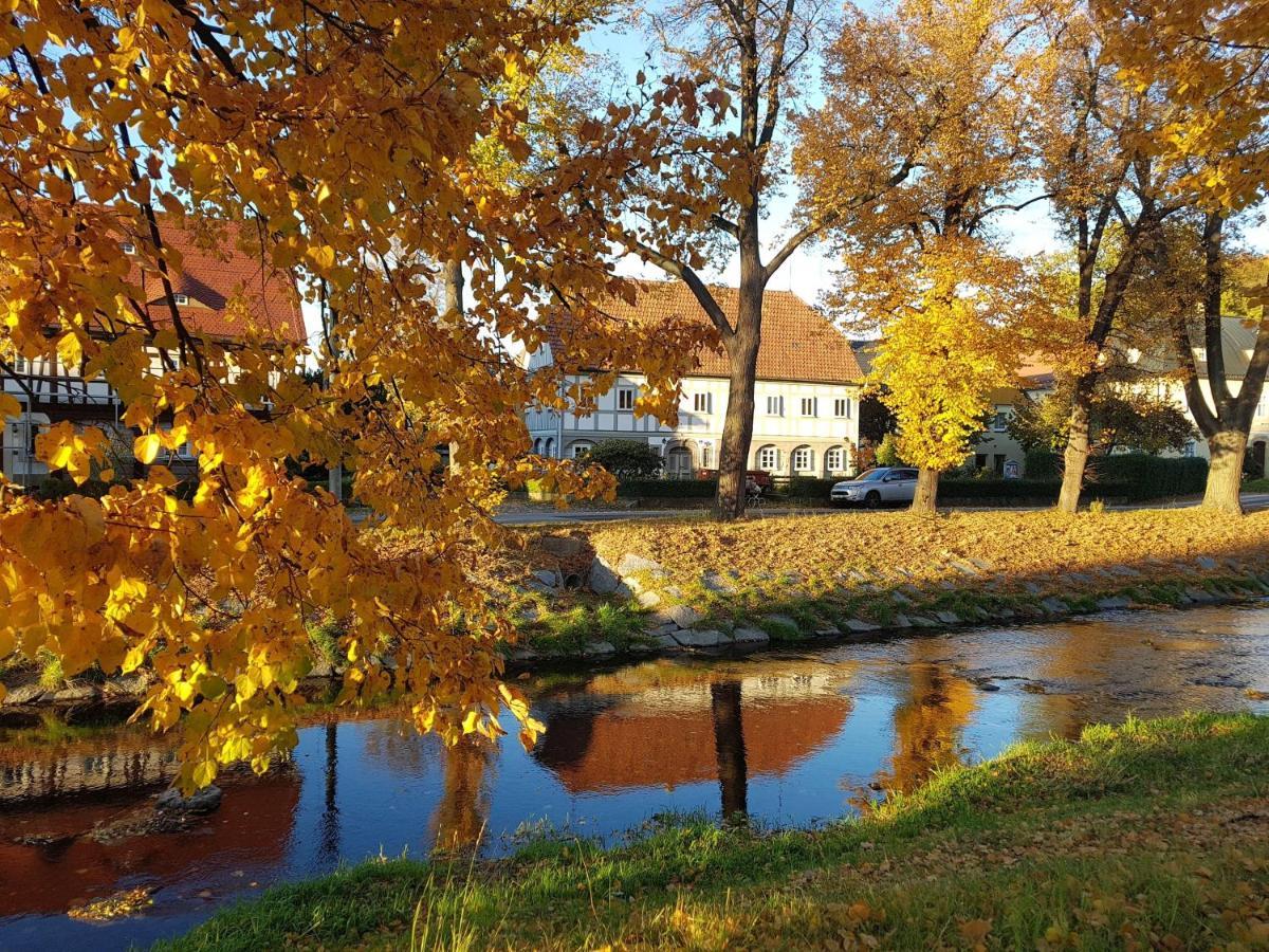 Apartamento Auf-Der-Muehlwiese Großschönau Exterior foto