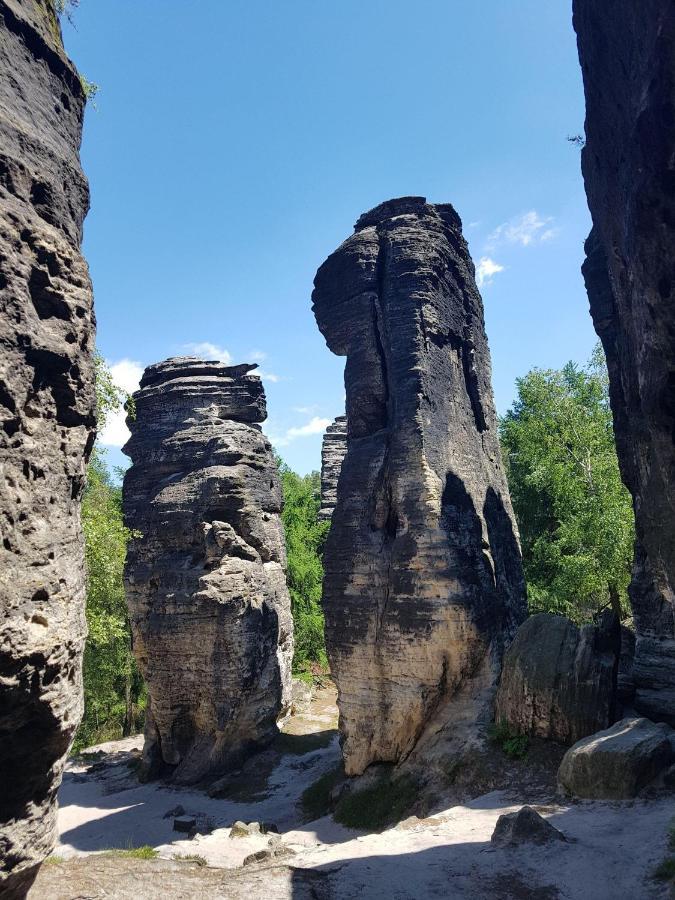 Apartamento Auf-Der-Muehlwiese Großschönau Exterior foto