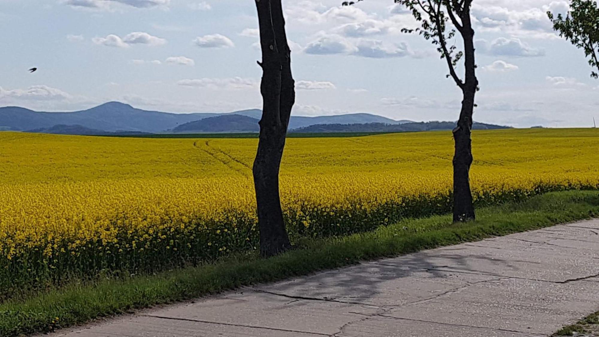 Apartamento Auf-Der-Muehlwiese Großschönau Exterior foto