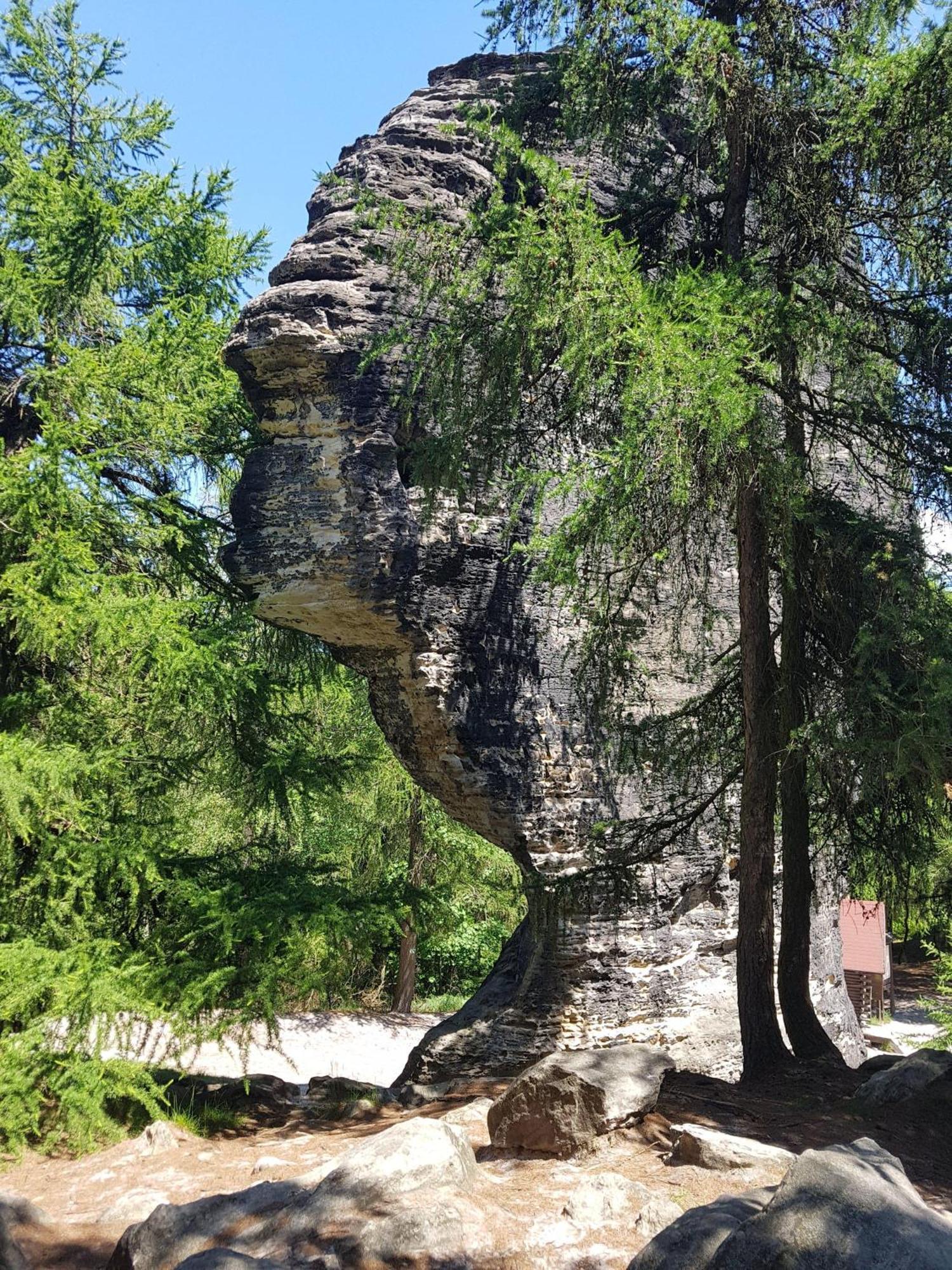 Apartamento Auf-Der-Muehlwiese Großschönau Exterior foto